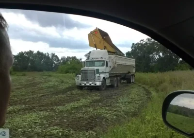 Cucumber Harvest
